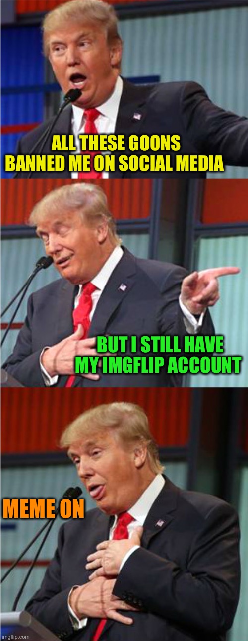 The Freedom of Memes |  ALL THESE GOONS BANNED ME ON SOCIAL MEDIA; BUT I STILL HAVE MY IMGFLIP ACCOUNT; MEME ON | image tagged in bad pun trump,memes,social media | made w/ Imgflip meme maker