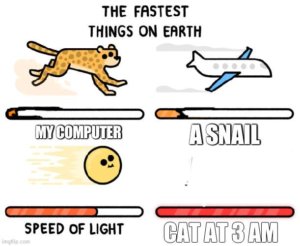 fastest thing possible | A SNAIL; MY COMPUTER; CAT AT 3 AM | image tagged in fastest thing possible | made w/ Imgflip meme maker