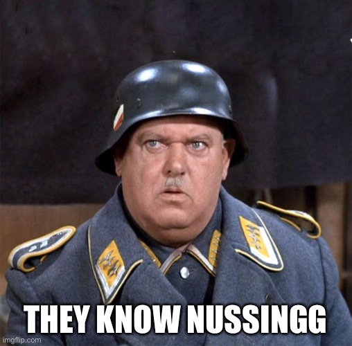 Sgt. Schultz | THEY KNOW NUSSINGG | image tagged in sgt schultz | made w/ Imgflip meme maker