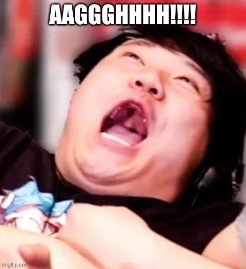 Smg4 Scream | AAGGGHHHH!!!! | image tagged in smg4 scream | made w/ Imgflip meme maker