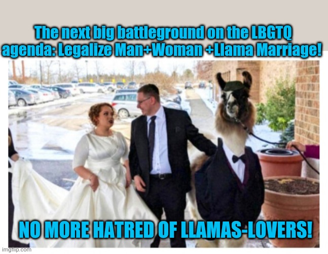 OH LAWD' IT COMIN' | The next big battleground on the LBGTQ agenda: Legalize Man+Woman +Llama Marriage! NO MORE HATRED OF LLAMAS-LOVERS! | image tagged in liberal logic,insanity | made w/ Imgflip meme maker