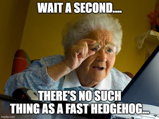 gramma finds the internet | WAIT A SECOND.... THERE'S NO SUCH THING AS A FAST HEDGEHOG... | image tagged in memes,grandma finds the internet | made w/ Imgflip meme maker