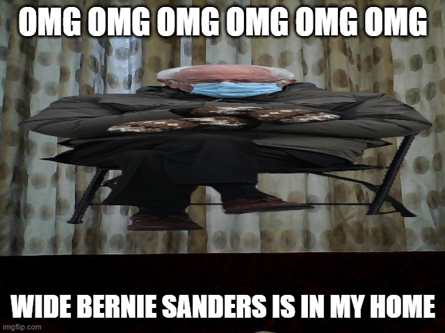 OMG OMG OMG OMG OMG OMG; WIDE BERNIE SANDERS IS IN MY HOME | image tagged in vote bernie sanders | made w/ Imgflip meme maker