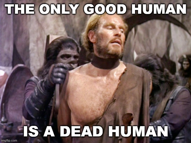 The only good human... is a DEAD human! | THE ONLY GOOD HUMAN; IS A DEAD HUMAN | image tagged in planet of the apes | made w/ Imgflip meme maker