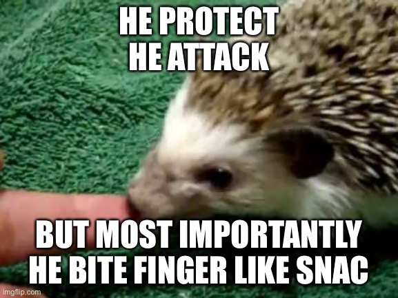 HE PROTECT
HE ATTACK; BUT MOST IMPORTANTLY HE BITE FINGER LIKE SNAC | made w/ Imgflip meme maker