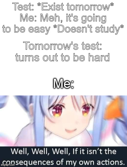 Never underestimate tests | Test: *Exist tomorrow*
Me: Meh, it's going to be easy *Doesn't study*; Tomorrow's test: turns out to be hard; Me: | image tagged in blank white template,well well well if it isnt,school,test,high school,school meme | made w/ Imgflip meme maker