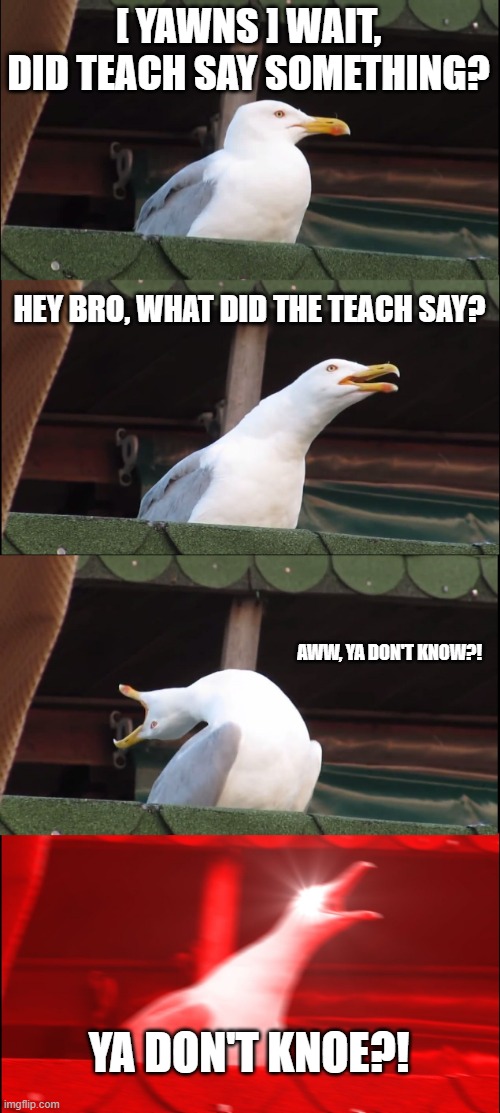 Inhaling Seagull | [ YAWNS ] WAIT, DID TEACH SAY SOMETHING? HEY BRO, WHAT DID THE TEACH SAY? AWW, YA DON'T KNOW?! YA DON'T KNOE?! | image tagged in memes,inhaling seagull,teach,school,online class,student | made w/ Imgflip meme maker