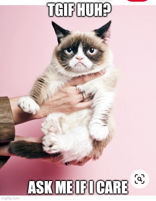 Grumpy is not amused | TGIF HUH? ASK ME IF I CARE | image tagged in grumpy cat does not believe | made w/ Imgflip meme maker