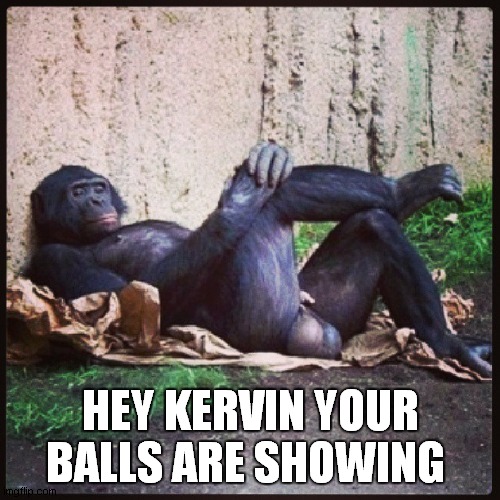 Monkey Balls | HEY KERVIN YOUR BALLS ARE SHOWING | image tagged in monkey balls | made w/ Imgflip meme maker