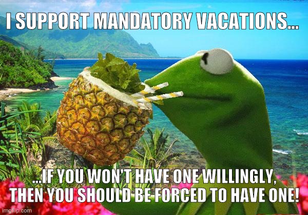 Mandatory vactions | I SUPPORT MANDATORY VACATIONS... ...IF YOU WON'T HAVE ONE WILLINGLY, THEN YOU SHOULD BE FORCED TO HAVE ONE! | image tagged in vacation kermit | made w/ Imgflip meme maker