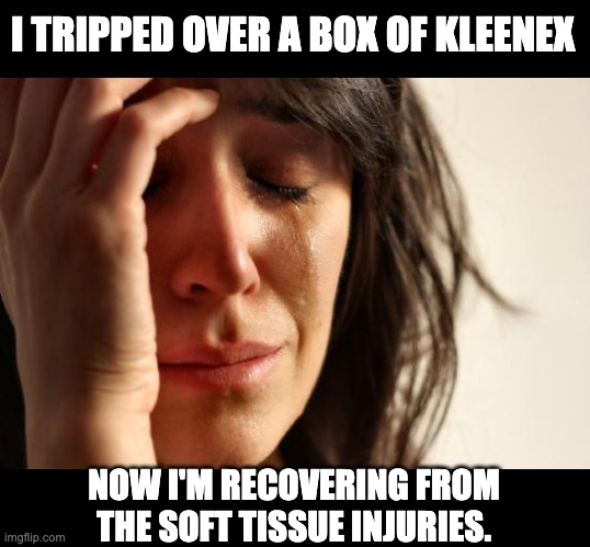 Soft tissue | I TRIPPED OVER A BOX OF KLEENEX; NOW I'M RECOVERING FROM THE SOFT TISSUE INJURIES. | image tagged in memes,first world problems | made w/ Imgflip meme maker