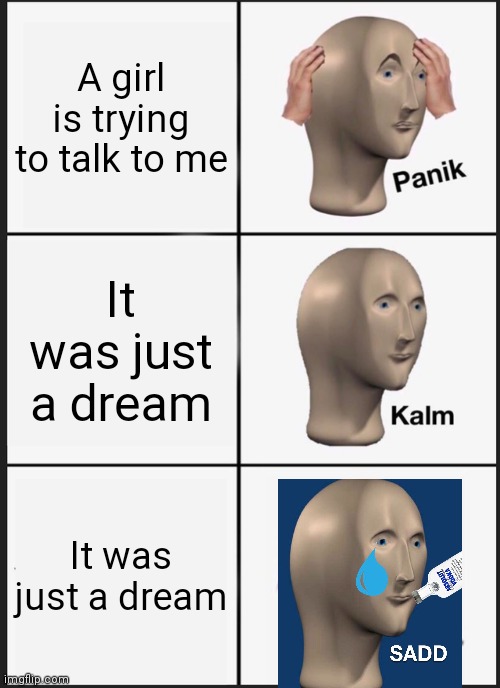 My life | A girl is trying to talk to me; It was just a dream; It was just a dream | image tagged in memes,panik kalm panik | made w/ Imgflip meme maker