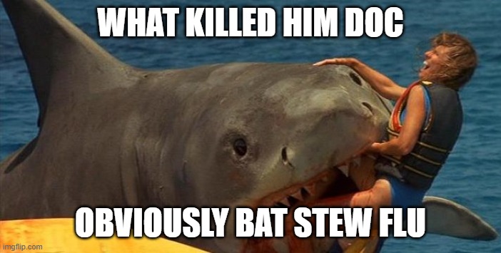 Jaws Meme | WHAT KILLED HIM DOC; OBVIOUSLY BAT STEW FLU | image tagged in jaws meme | made w/ Imgflip meme maker