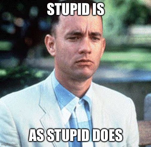 forrest gump | STUPID IS AS STUPID DOES | image tagged in forrest gump | made w/ Imgflip meme maker