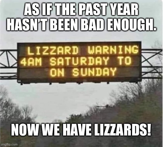 Lizzards! | AS IF THE PAST YEAR HASN’T BEEN BAD ENOUGH. NOW WE HAVE LIZZARDS! | image tagged in covid-19,2020 sucks,2020,2021 | made w/ Imgflip meme maker