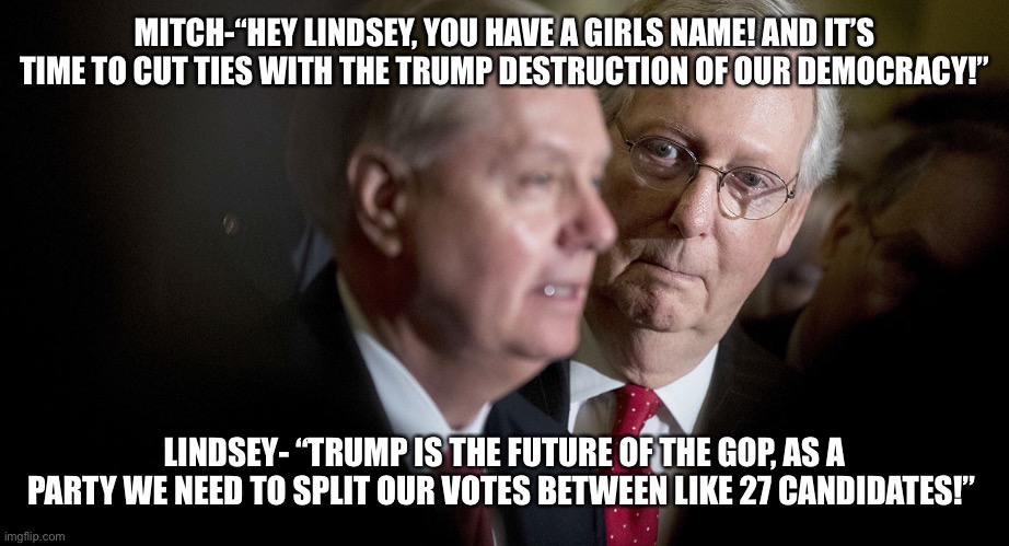 Mitch McConnell and Lindsey Graham | MITCH-“HEY LINDSEY, YOU HAVE A GIRLS NAME! AND IT’S TIME TO CUT TIES WITH THE TRUMP DESTRUCTION OF OUR DEMOCRACY!”; LINDSEY- “TRUMP IS THE FUTURE OF THE GOP, AS A PARTY WE NEED TO SPLIT OUR VOTES BETWEEN LIKE 27 CANDIDATES!” | image tagged in mitch mcconnell and lindsey graham | made w/ Imgflip meme maker