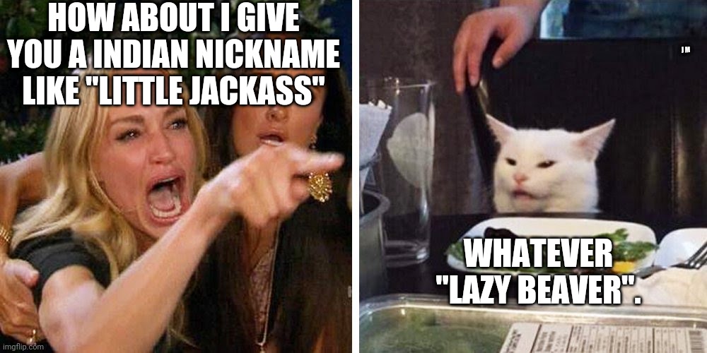 Smudge the cat | HOW ABOUT I GIVE YOU A INDIAN NICKNAME LIKE "LITTLE JACKASS"; J M; WHATEVER "LAZY BEAVER". | image tagged in smudge the cat | made w/ Imgflip meme maker