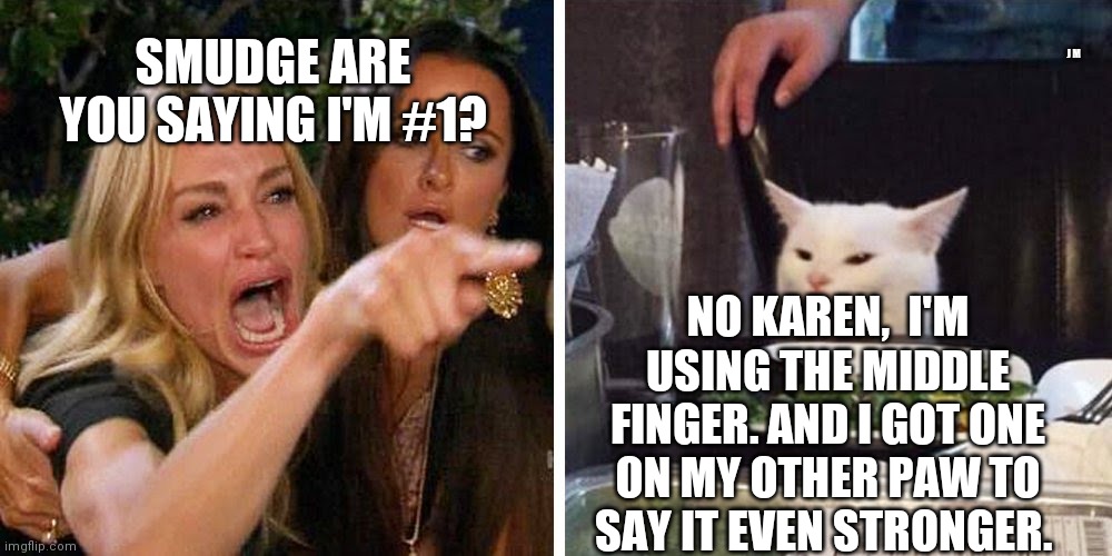 Smudge the cat | J M; SMUDGE ARE YOU SAYING I'M #1? NO KAREN,  I'M USING THE MIDDLE FINGER. AND I GOT ONE ON MY OTHER PAW TO SAY IT EVEN STRONGER. | image tagged in smudge the cat | made w/ Imgflip meme maker