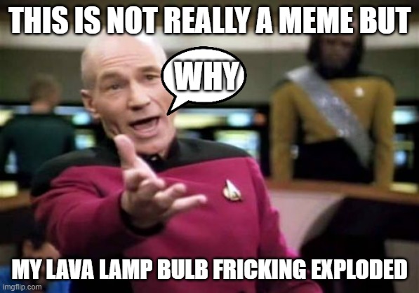 Picard Wtf Meme | THIS IS NOT REALLY A MEME BUT; WHY; MY LAVA LAMP BULB FRICKING EXPLODED | image tagged in memes,picard wtf | made w/ Imgflip meme maker