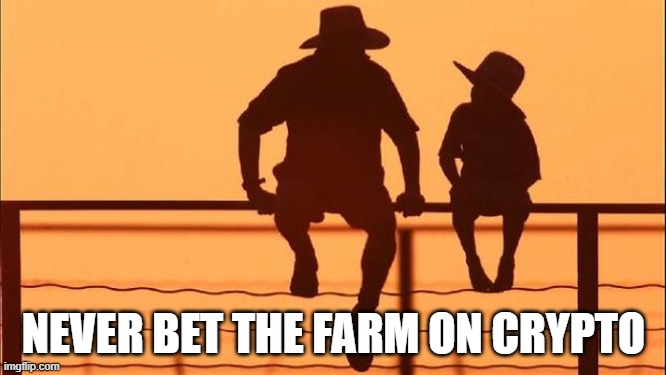 Crypto currency advice wild west | NEVER BET THE FARM ON CRYPTO | image tagged in cowboy father and son | made w/ Imgflip meme maker