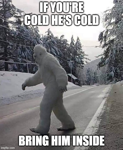 Cold Bigfoot | IF YOU'RE COLD HE'S COLD; BRING HIM INSIDE | image tagged in memes | made w/ Imgflip meme maker