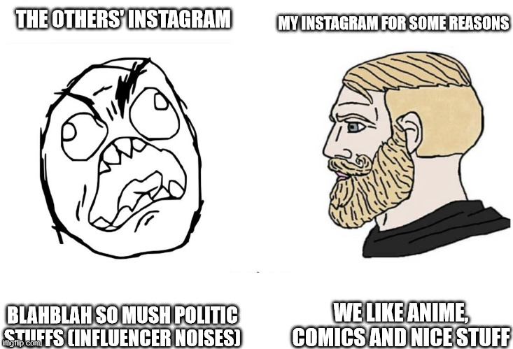 nice my instagram is not so horrible | THE OTHERS' INSTAGRAM; MY INSTAGRAM FOR SOME REASONS; WE LIKE ANIME, COMICS AND NICE STUFF; BLAHBLAH SO MUSH POLITIC STUFFS (INFLUENCER NOISES) | image tagged in soyboy vs yes chad,instagram | made w/ Imgflip meme maker