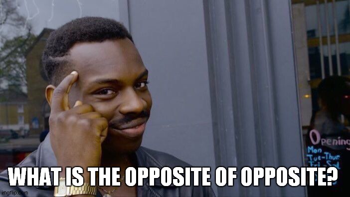 Roll Safe Think About It | WHAT IS THE OPPOSITE OF OPPOSITE? | image tagged in memes,roll safe think about it | made w/ Imgflip meme maker