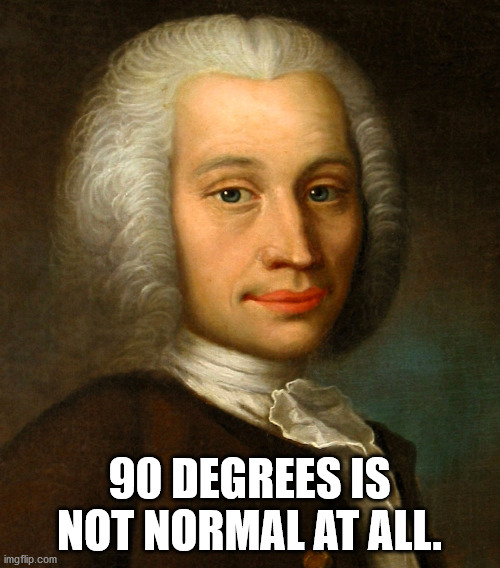 90 DEGREES IS NOT NORMAL AT ALL. | made w/ Imgflip meme maker