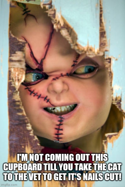 Chucky's home! | I'M NOT COMING OUT THIS CUPBOARD TILL YOU TAKE THE CAT TO THE VET TO GET IT'S NAILS CUT! | image tagged in chucky's home | made w/ Imgflip meme maker