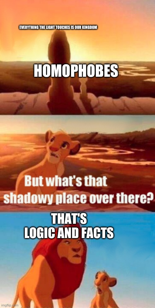 Simba Shadowy Place Meme | EVERYTHING THE LIGHT TOUCHES IS OUR KINGDOM; HOMOPHOBES; THAT'S LOGIC AND FACTS | image tagged in memes,simba shadowy place | made w/ Imgflip meme maker