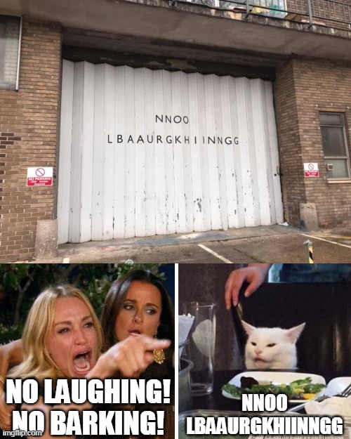NO LAUGHING! NO BARKING! NNOO LBAAURGKHIINNGG | image tagged in smudge the cat | made w/ Imgflip meme maker