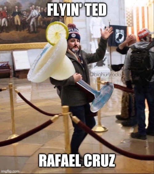 FLYIN' TED; RAFAEL CRUZ | image tagged in ted cruz | made w/ Imgflip meme maker