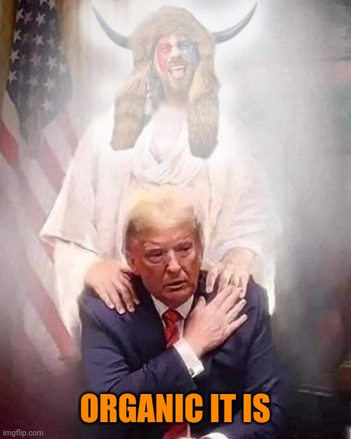 ORGANIC IT IS | image tagged in trump | made w/ Imgflip meme maker