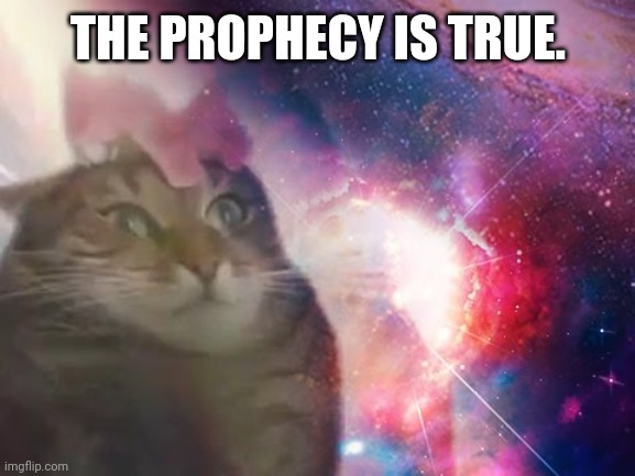 the prophecy is true cat | THE PROPHECY IS TRUE. | image tagged in the prophecy is true cat | made w/ Imgflip meme maker