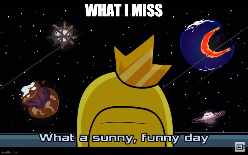 Sunny day | WHAT I MISS | image tagged in sunny day | made w/ Imgflip meme maker