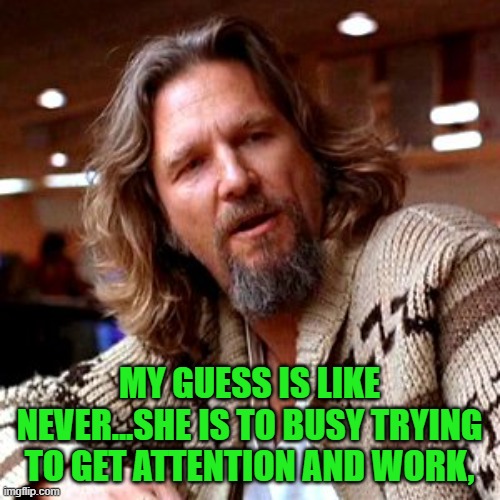 Confused Lebowski Meme | MY GUESS IS LIKE NEVER...SHE IS TO BUSY TRYING TO GET ATTENTION AND WORK, | image tagged in memes,confused lebowski | made w/ Imgflip meme maker