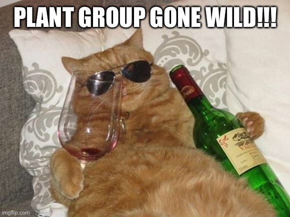 Plant Group Gone Wild | PLANT GROUP GONE WILD!!! | image tagged in funny cat birthday | made w/ Imgflip meme maker