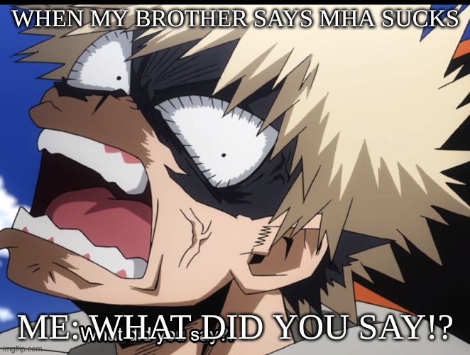 everyday | WHEN MY BROTHER SAYS MHA SUCKS; ME: WHAT DID YOU SAY!? | image tagged in bakugo's what did you say | made w/ Imgflip meme maker