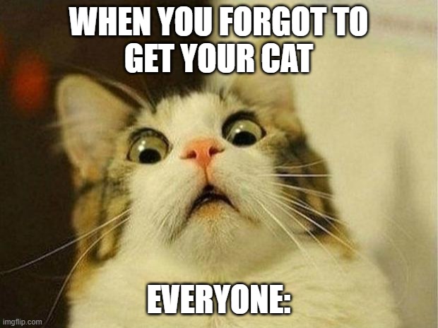 Cat WOW | WHEN YOU FORGOT TO
GET YOUR CAT; EVERYONE: | image tagged in memes,scared cat | made w/ Imgflip meme maker