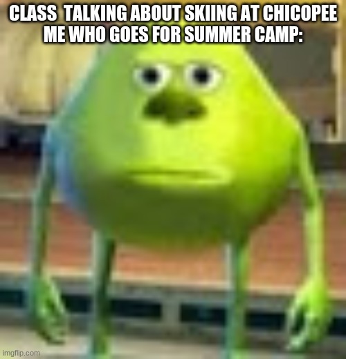 Sully Wazowski | CLASS  TALKING ABOUT SKIING AT CHICOPEE
ME WHO GOES FOR SUMMER CAMP: | image tagged in sully wazowski | made w/ Imgflip meme maker