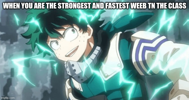 realatible | WHEN YOU ARE THE STRONGEST AND FASTEST WEEB TN THE CLASS | image tagged in memes | made w/ Imgflip meme maker