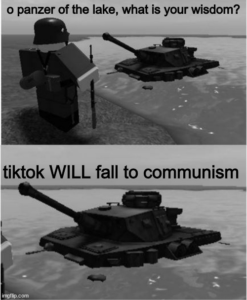comrades | o panzer of the lake, what is your wisdom? tiktok WILL fall to communism | image tagged in panzer of the lake | made w/ Imgflip meme maker