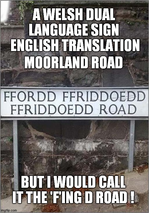 Welsh Road Sign | A WELSH DUAL LANGUAGE SIGN
 ENGLISH TRANSLATION; MOORLAND ROAD; BUT I WOULD CALL IT THE 'F'ING D ROAD ! | image tagged in fun,welsh,road sign | made w/ Imgflip meme maker