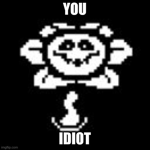 Flowey | YOU IDIOT | image tagged in flowey | made w/ Imgflip meme maker