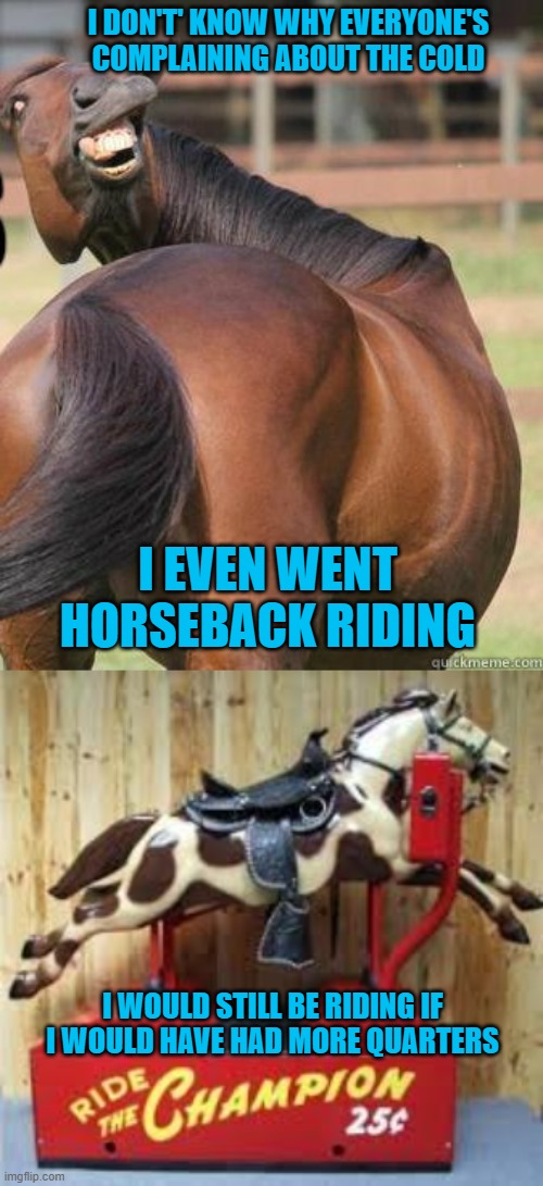 I DON'T' KNOW WHY EVERYONE'S COMPLAINING ABOUT THE COLD; I EVEN WENT HORSEBACK RIDING; I WOULD STILL BE RIDING IF I WOULD HAVE HAD MORE QUARTERS | image tagged in horses ass | made w/ Imgflip meme maker
