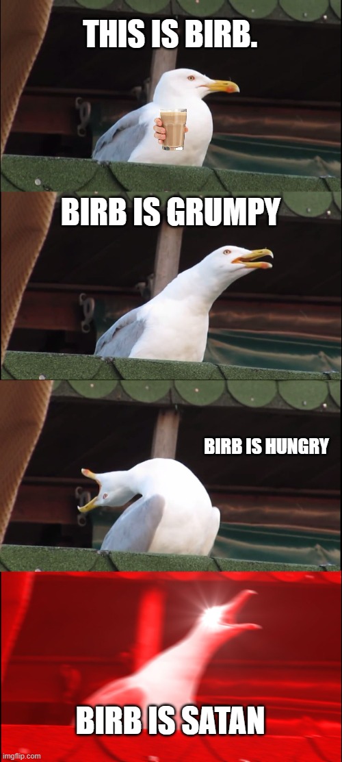 Inhaling Seagull | THIS IS BIRB. BIRB IS GRUMPY; BIRB IS HUNGRY; BIRB IS SATAN | image tagged in memes,inhaling seagull | made w/ Imgflip meme maker