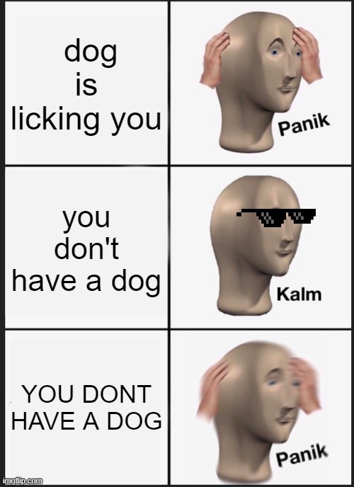 Panik Kalm Panik | dog is licking you; you don't have a dog; YOU DONT HAVE A DOG | image tagged in memes,panik kalm panik | made w/ Imgflip meme maker