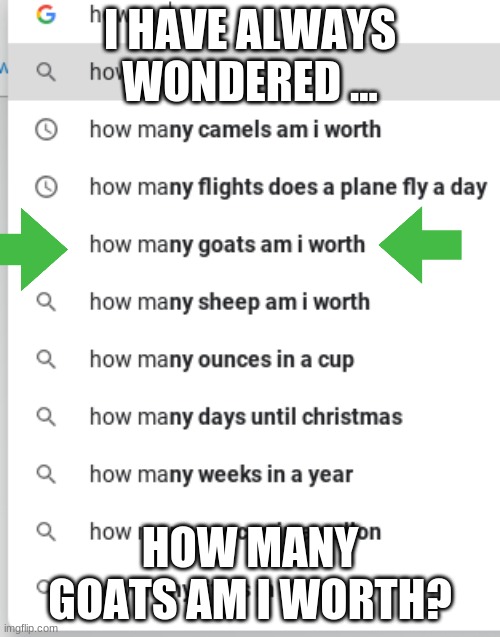 I always wondered... | I HAVE ALWAYS WONDERED ... HOW MANY GOATS AM I WORTH? | image tagged in google search | made w/ Imgflip meme maker