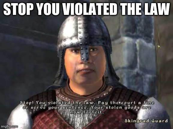 Stop you violated the law | STOP YOU VIOLATED THE LAW | image tagged in stop you violated the law | made w/ Imgflip meme maker