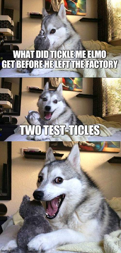 Bad Pun Dog | WHAT DID TICKLE ME ELMO GET BEFORE HE LEFT THE FACTORY; TWO TEST-TICLES | image tagged in memes,bad pun dog | made w/ Imgflip meme maker